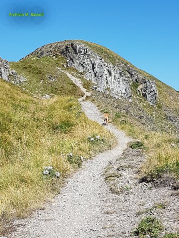 Appennino