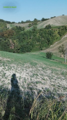 Foce_adige