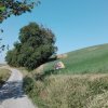 Foce_adige