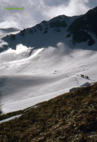 Alpinismo invernale