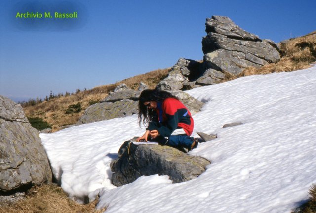 Alpinismo invernale