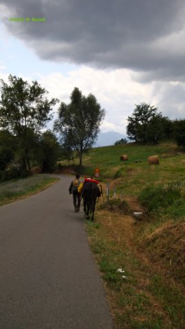 Foce_adige