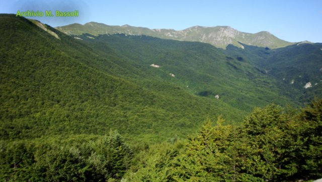 Foce_adige