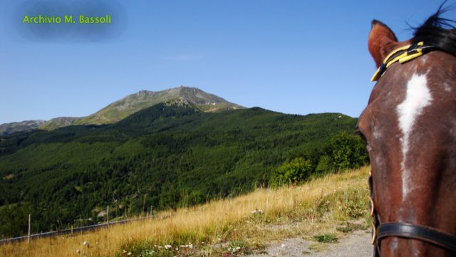Foce_adige