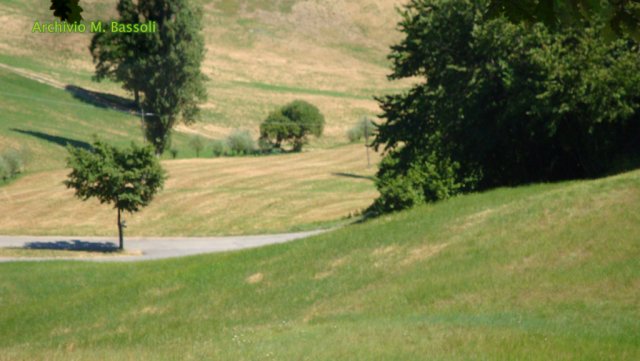 Foce_adige