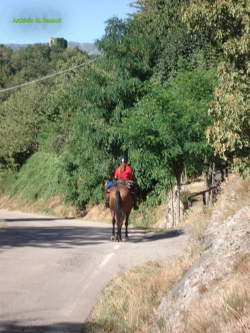 Foce_adige