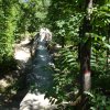 Foce_adige