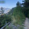 Foce_adige