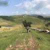 Foce_adige