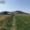 Foce_adige