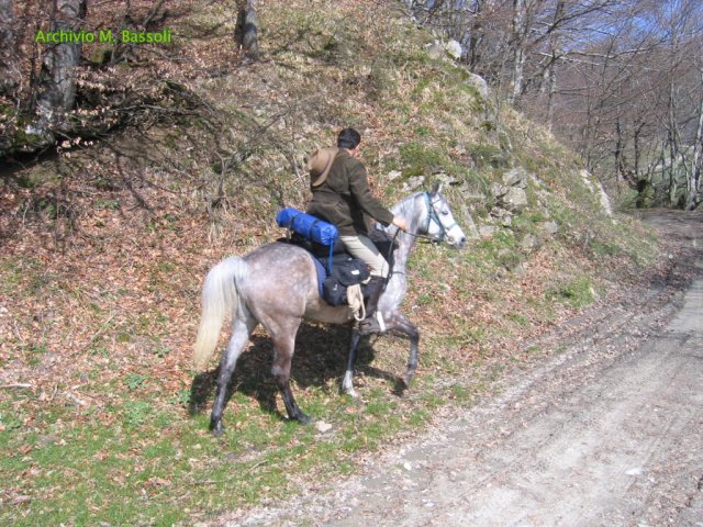 Cammino di San Francesco