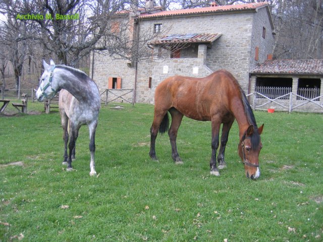 Cammino di San Francesco
