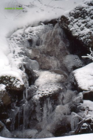 Foce_adige