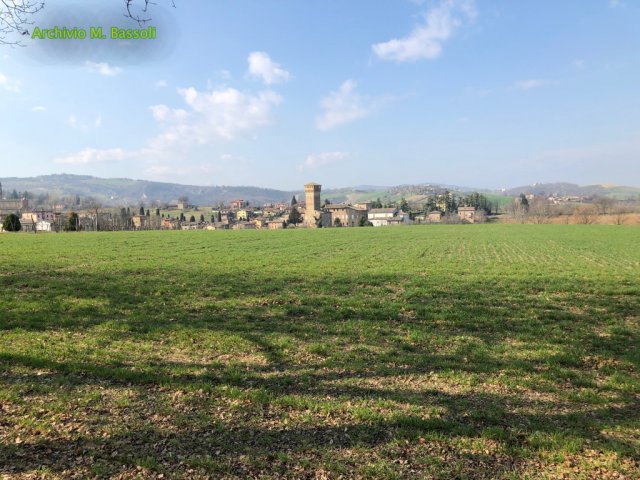 Castelvetro_Levizzano