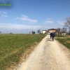 Castelvetro_Levizzano
