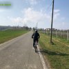 Castelvetro_Levizzano