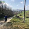 Castelvetro_Levizzano