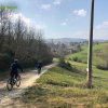 Castelvetro_Levizzano