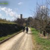 Castelvetro_Levizzano