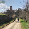 Castelvetro_Levizzano