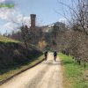 Castelvetro_Levizzano