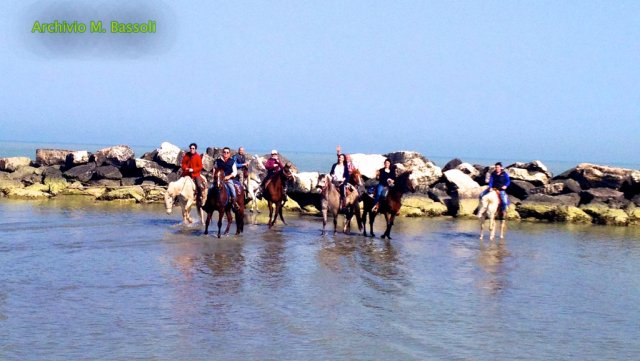 Cavalcata al mare