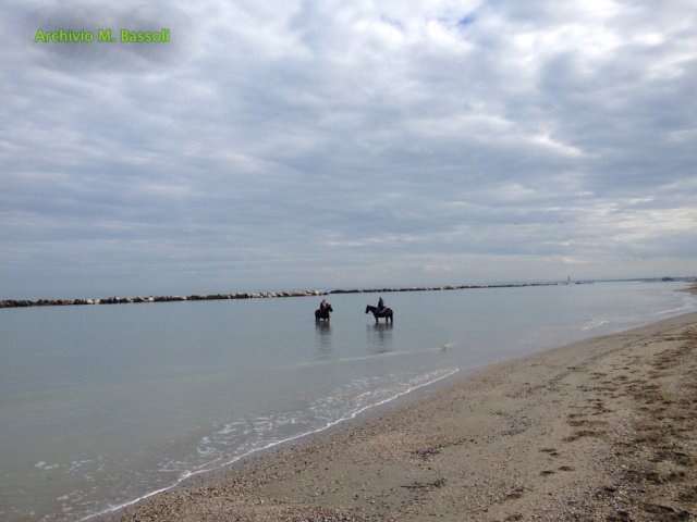 Cavalcata al mare