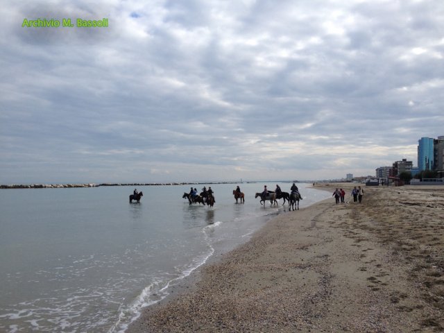 Cavalcata al mare