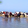Cavalcata al mare