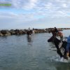 Cavalcata al mare
