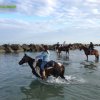 Cavalcata al mare