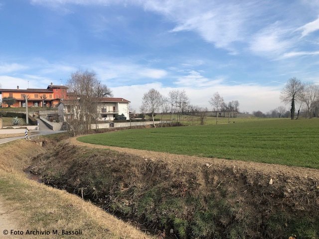 Colline Moreniche