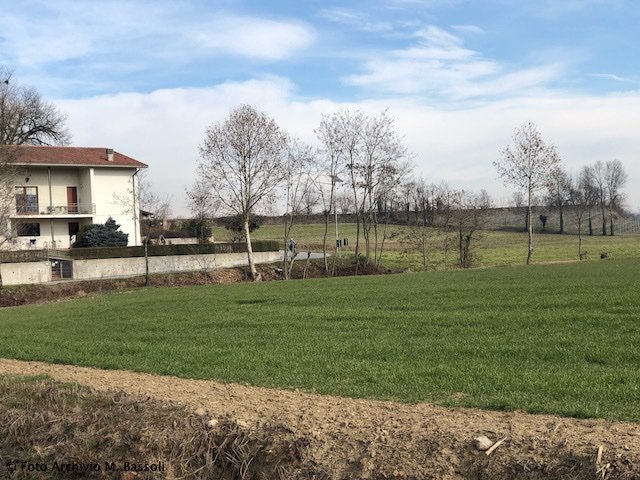 Colline Moreniche