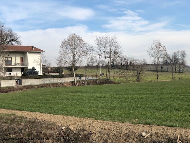 Colline Moreniche