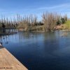 IMG_9617