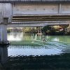 IMG_9721