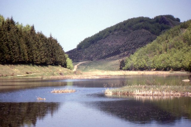 Foce_adige