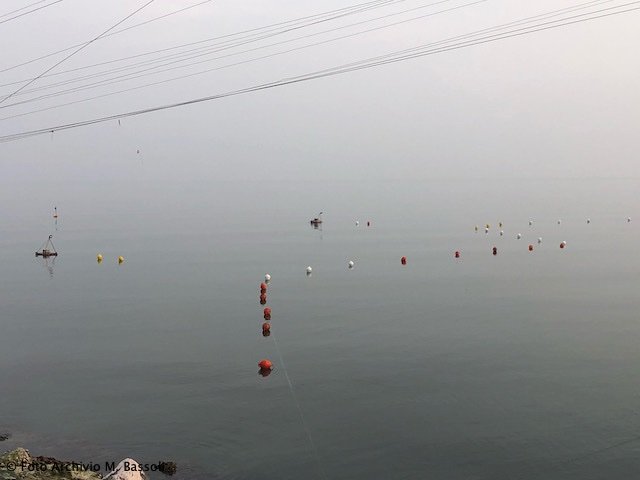 Foce_adige