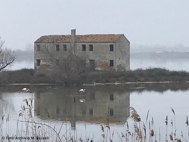 Foce_adige