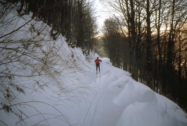 Foce_adige