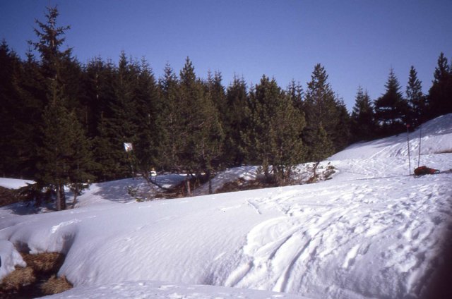 Foce_adige