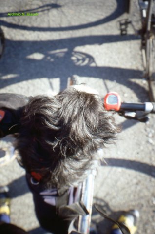 In bici
