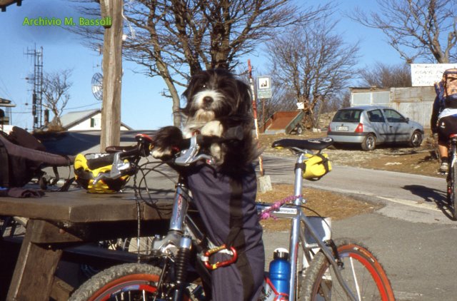 In bici