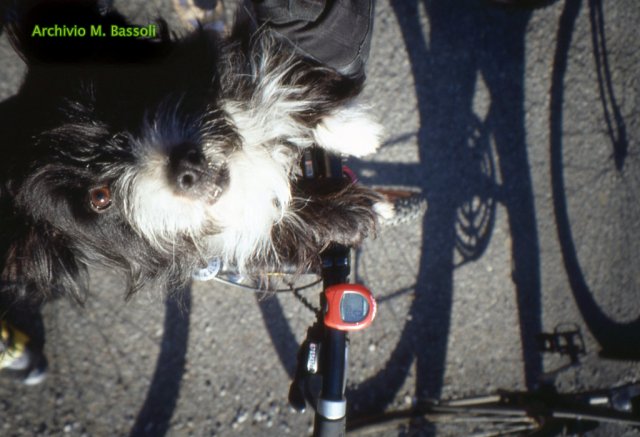 In bici