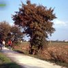 In bici