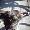 In bici