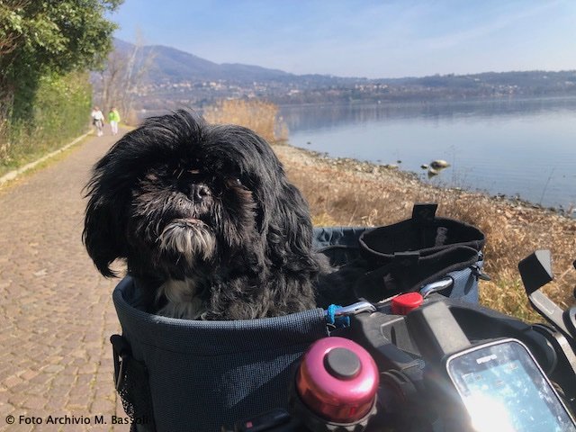 Lago di Varese