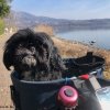 Lago di Varese
