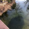 Lago di Varese