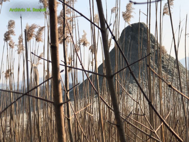 Foce_adige